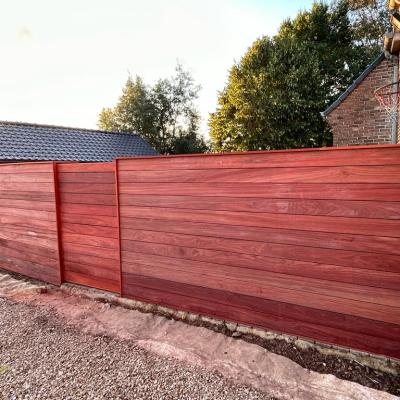 Photo 2023 08 04 20 55 44