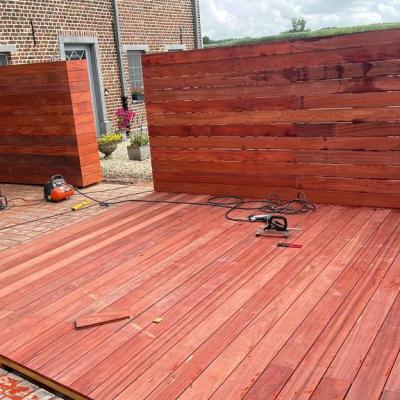 Photo 2023 08 04 20 57 20 1